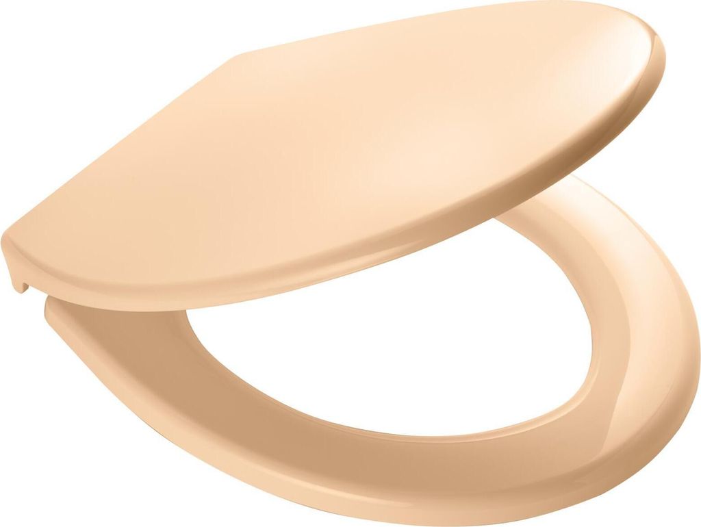 Ridder WC-Sitz Miami mit Soft-Close beige 02101111