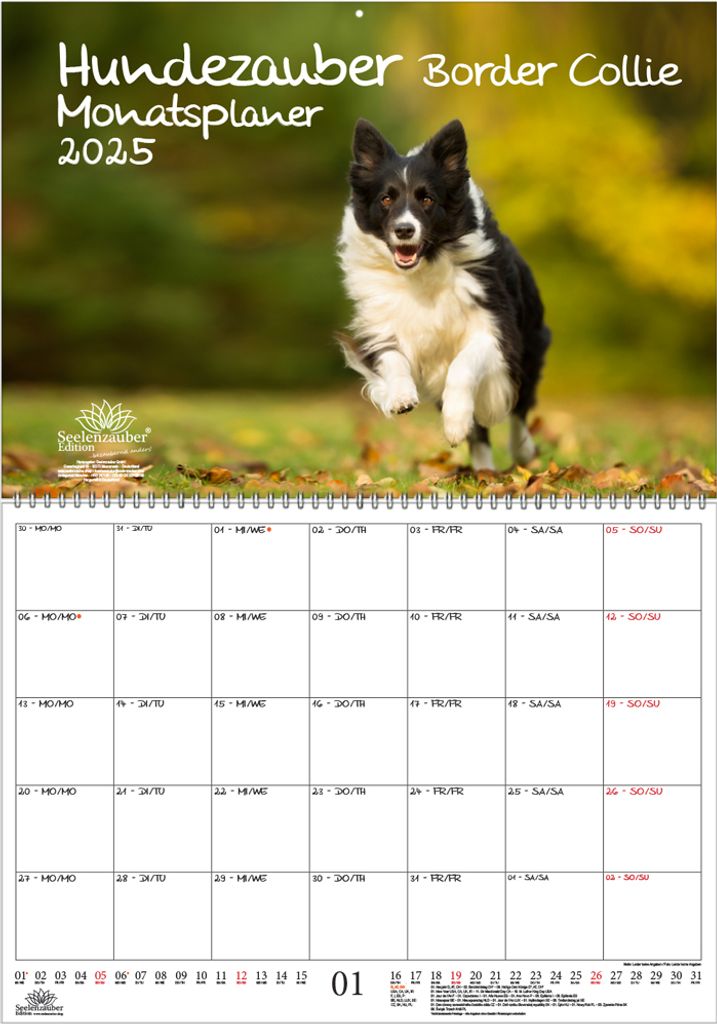 Hundezauber Border Collie Planer DIN A2 Kalender für 2025 Hunde Welpen - Seelenzauber