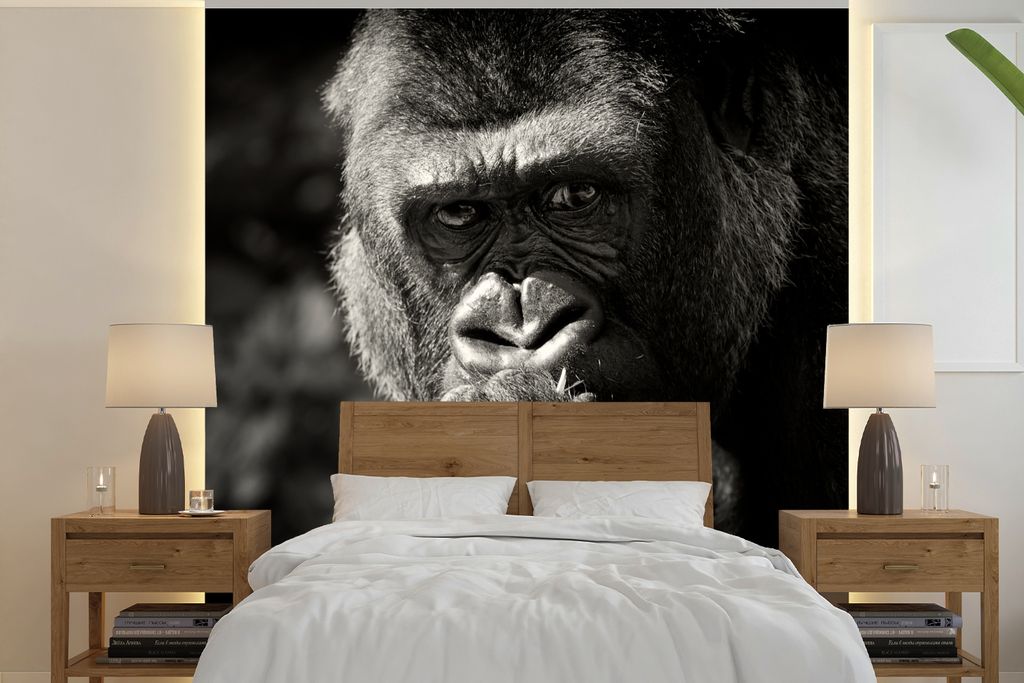 MuchoWow Fototapete für Wohnzimmer oder Schlafzimmer Wandtapete Vinyl Motivtapete Gorilla auf schwarzem Hintergrund in Schwarz und Weiß - 350x3...