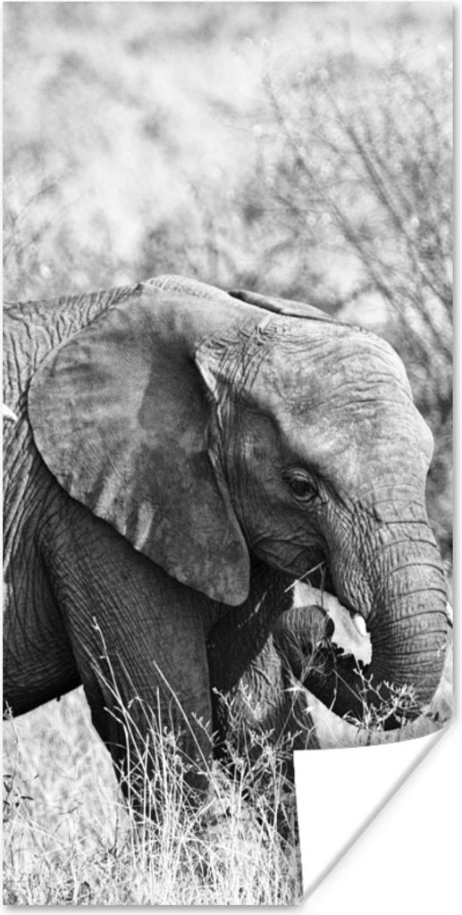 MuchoWow Poster Elefantenbaby und seine Mutter in Kenia in schwarz-weiß 60x120 cm - Wandschmuck