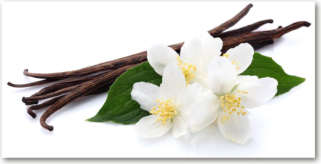 Tulup Leinwandbild - 120x60 cm - Wandkunst - Drucke auf Leinwand - Leinwanddruck - Blumen & Pflanzen - Braun - Jasmin Vanille