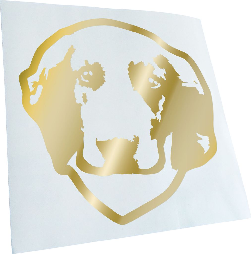 Kiwistar - Autoaufkleber - welsh springer Hund - Goldchrom - 60x60cm - Aufkleber für Auto, Laptop, Fahrrad, LKW, Motorrad mehrfarbig JDM Decal Racing