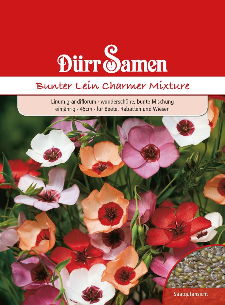 Bunter Lein Charmer Mischung | Leinsamen von Dürr Samen Produktbild 