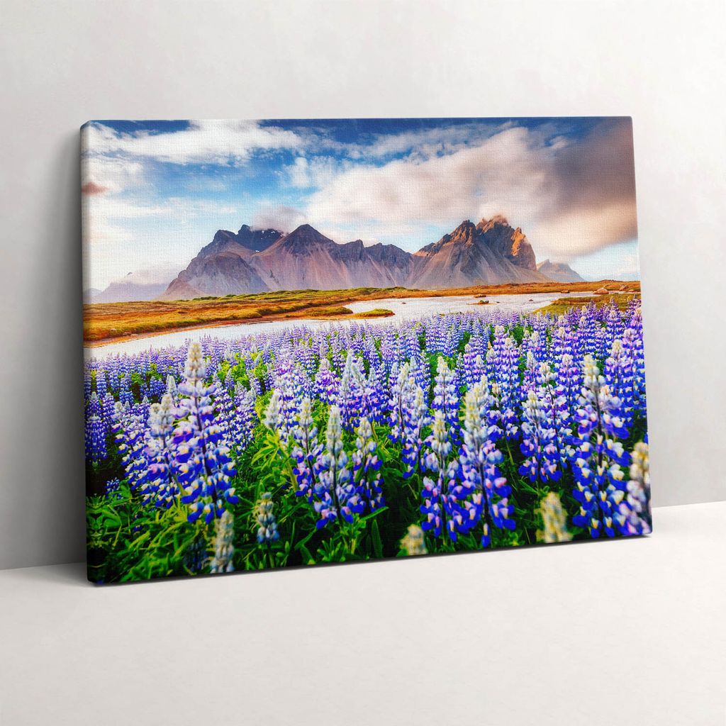 Magische Lupinenblüten – Leinwandbild Wandbild – 80x60 cm – Leinwandbilder – Wandbilder – Schlafzimmer – Flur
