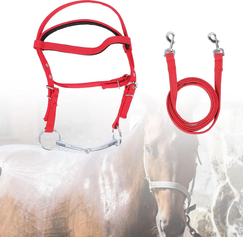 Bridon de Travail pour Cheval 1m30+ Rênes Nylon et Têtière Rouge Sport