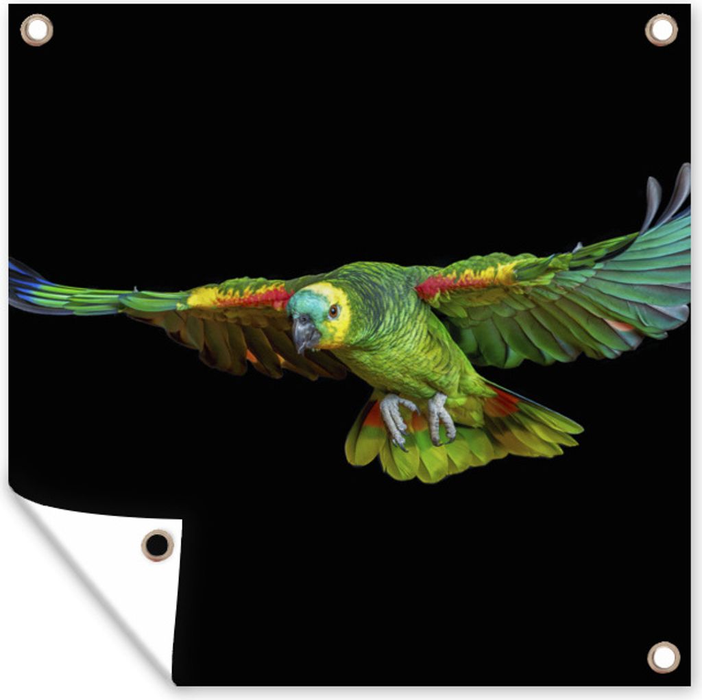 MuchoWow 100x100 cm Outdoor-Poster Gartendeko Sichtschutz Garten Poster für den Garten Papagei - Vogel - Federn