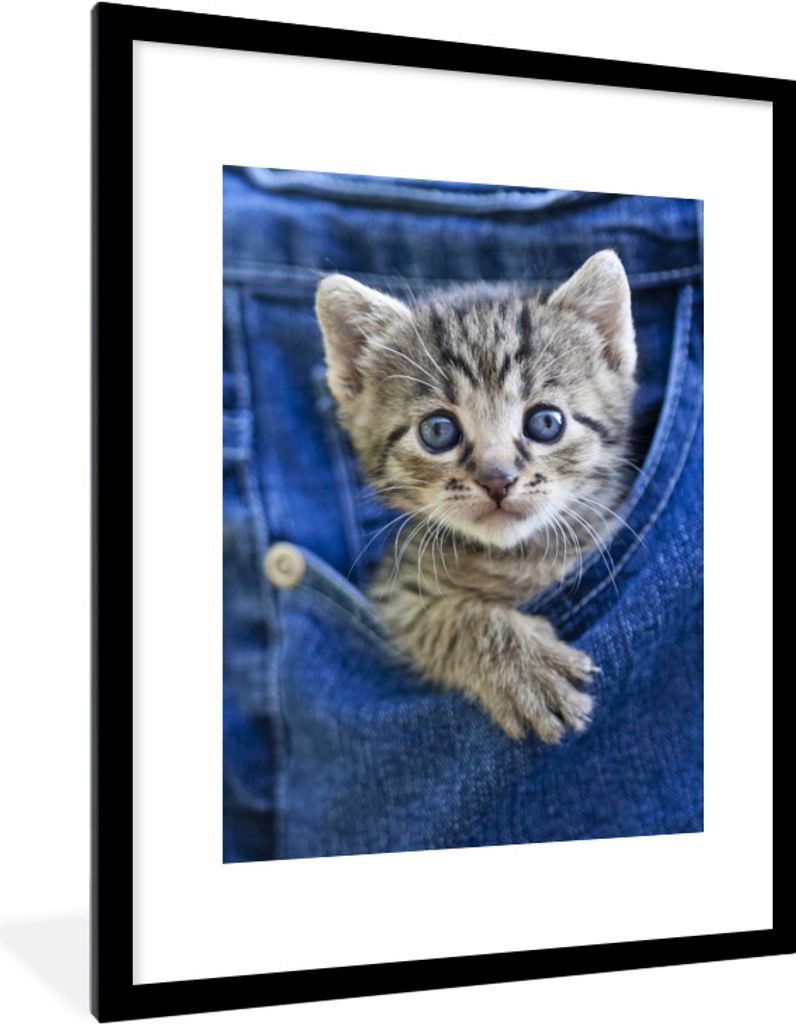MuchoWow Gerahmtes Poster Ein Kätzchen in Denim-Jeans 60x80 cm - Poster mit Schwarzem Bilderrahmen Wandposter Rahmen Foto Bilder - Wohnzimmer - ...