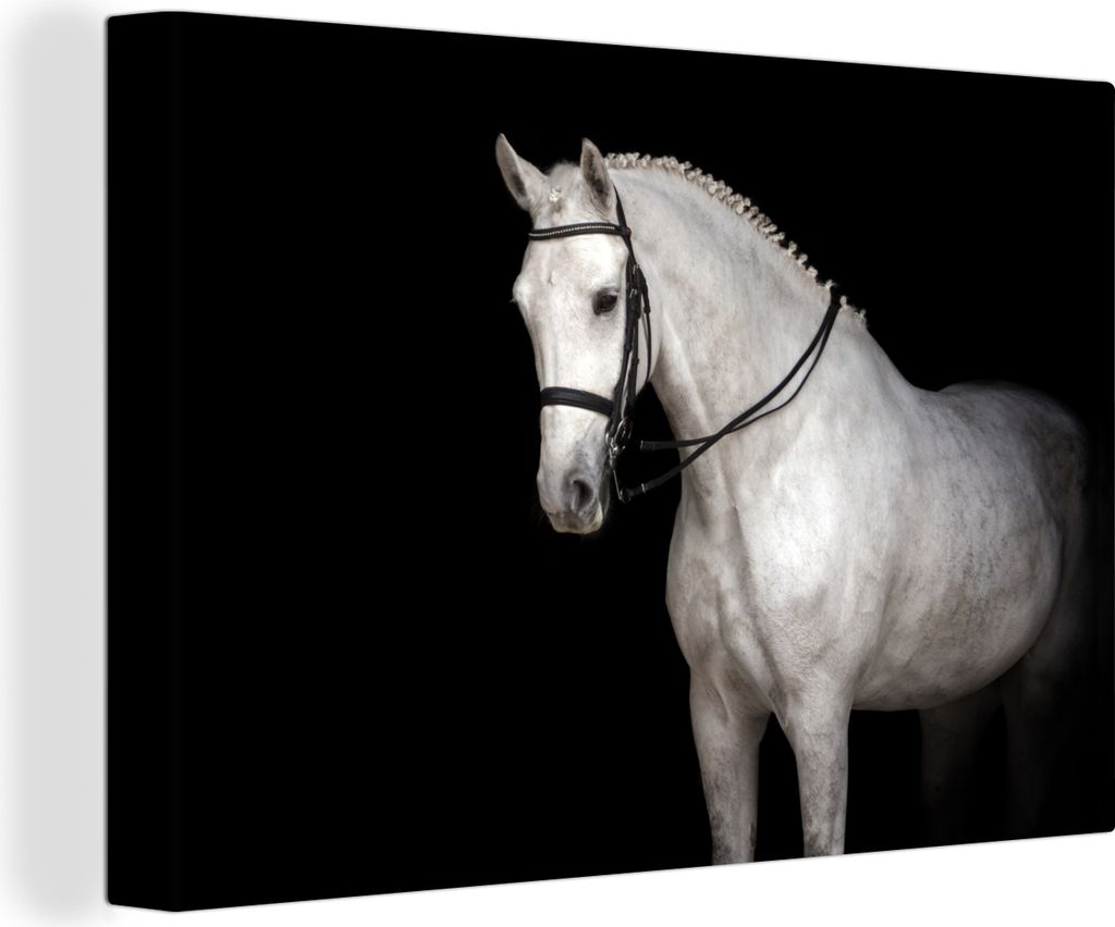 OneMillionCanvasses - Leinwandbilder - 140x90 cm, Pferd - Weiß - Schwarz, Wandbilder Kunstdruck Wanddekoration
