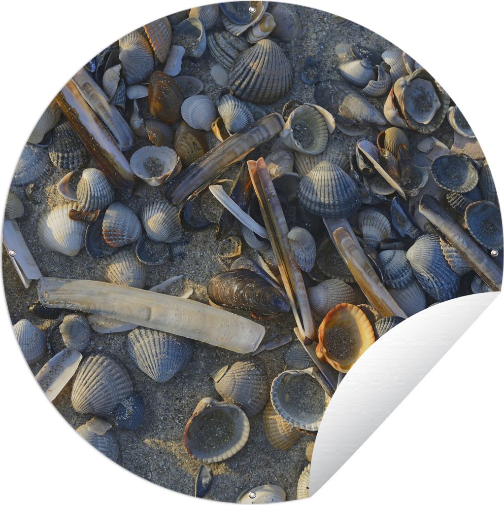 MuchoWow Gartenposter Outdoor-Poster Rund Muscheln am Strand Vlieland Ø 90 cm Gartendeko Rundes Poster draußen