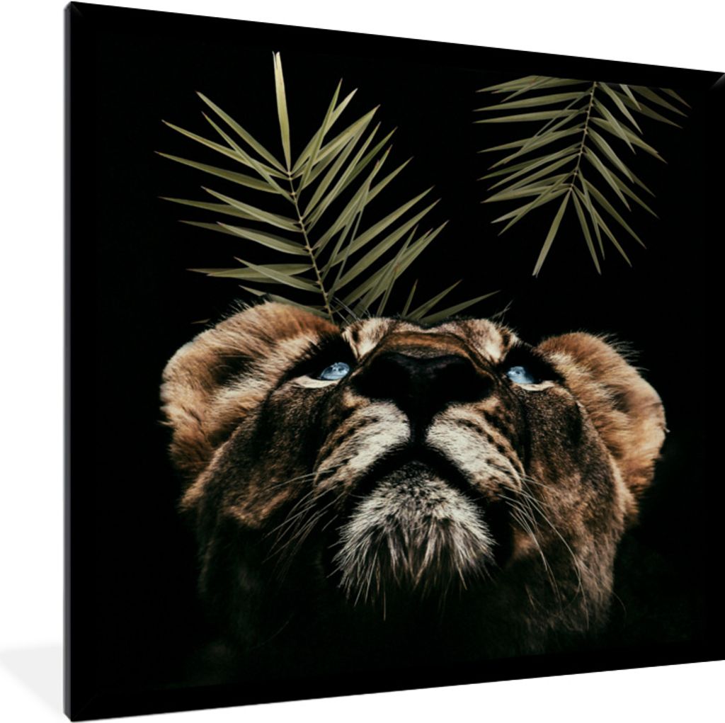 MuchoWow MuchoWow Gerahmtes Poster Tiger - Farn - Schwarz 40x40 cm - Poster mit zchwarzem Bilderrahmen - Mit Rahmen - Wanddekoration Schlafzimmer