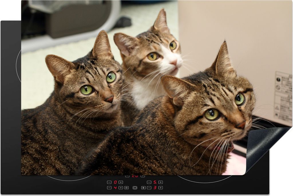 KitchenYeah Herdabdeckplatte Katze - Braun , 81x52cm, Küche Deko, Glaskeramikkochfeld Herdabdeckung, Abdeckplatte fùr Kochfeld