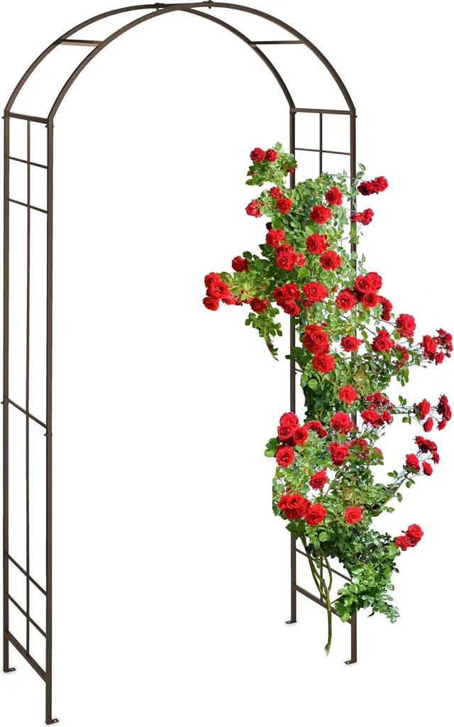 Arche de jardin robuste en métal bronze avec design semi-circulaire