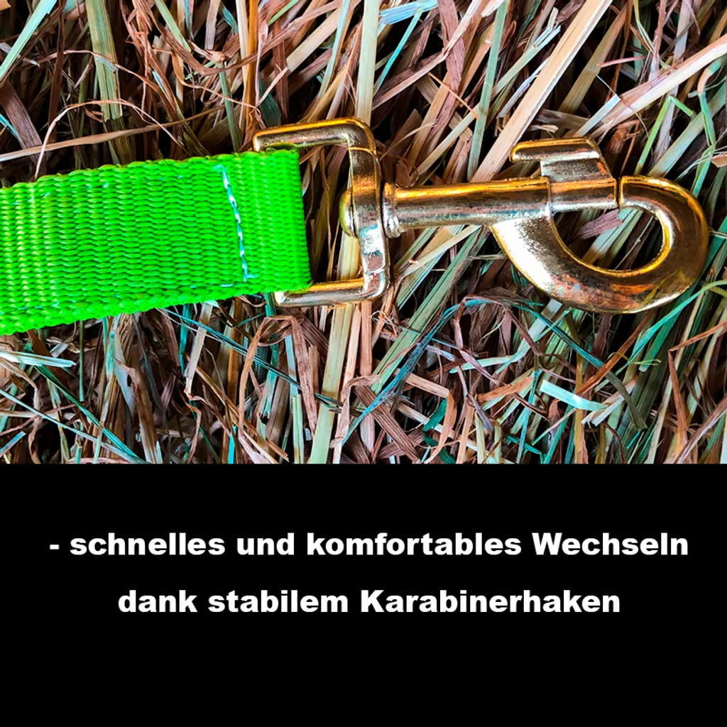Licol XFull vert clair réglable : la solution pour chevaux de trait - 2
