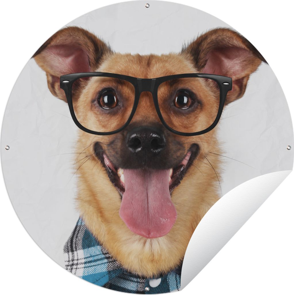 MuchoWow Gartenposter Outdoor-Poster Rund Hund - Bluse - Brille - Hipster Ø 60 cm Gartendeko Rundes Poster draußen