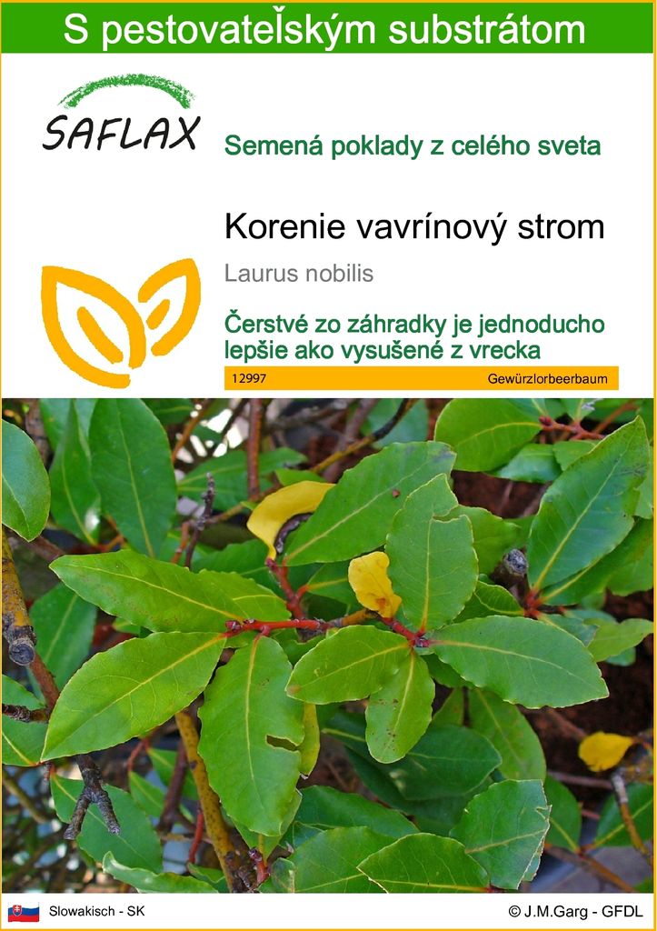 SAFLAX - korenie vavrínový strom - Laurus nobilis - 6 Obrázok produktu 