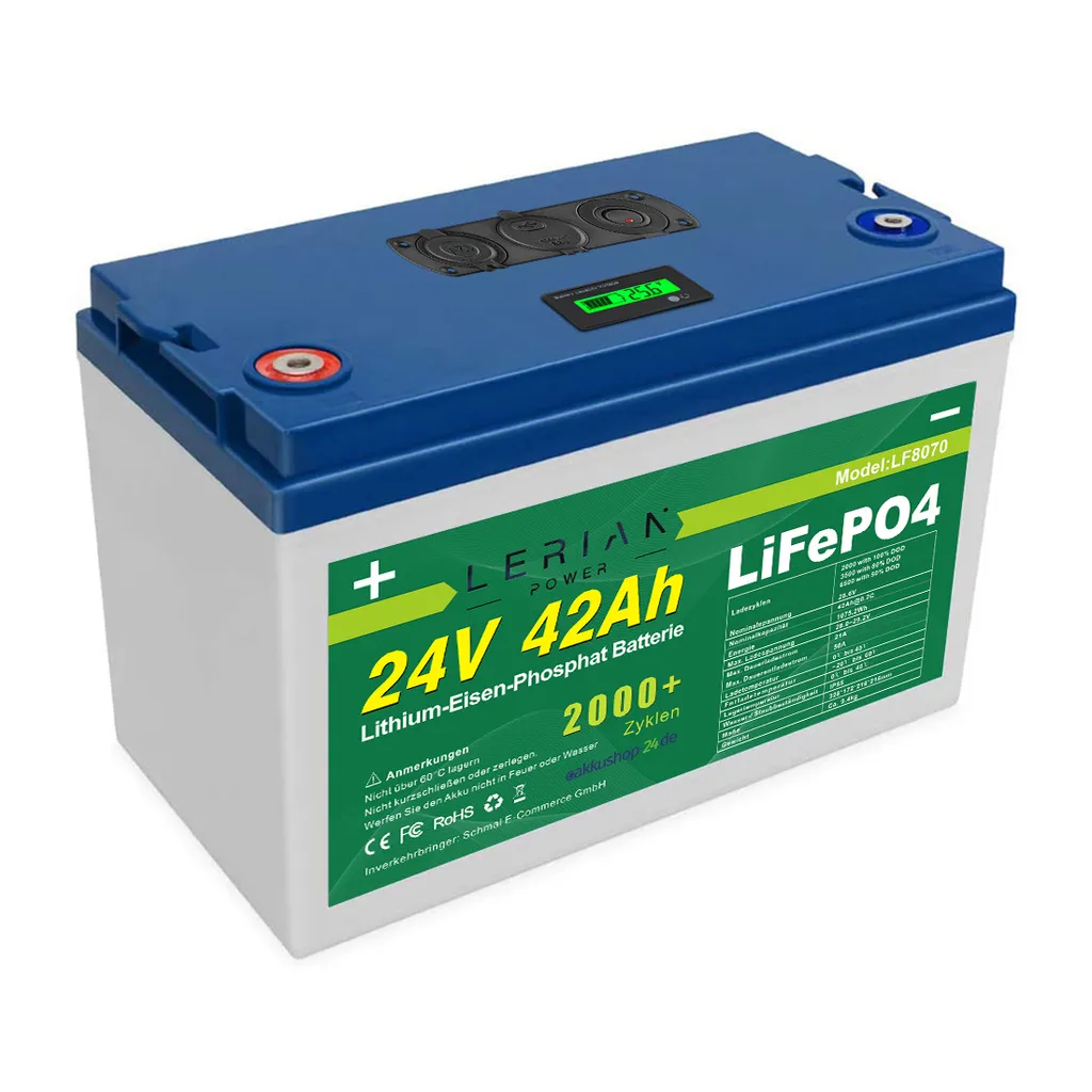 Batterie 24V 42Ah LiFePO4 avec BMS Intégré Grande Durée de Vie 24 Volts