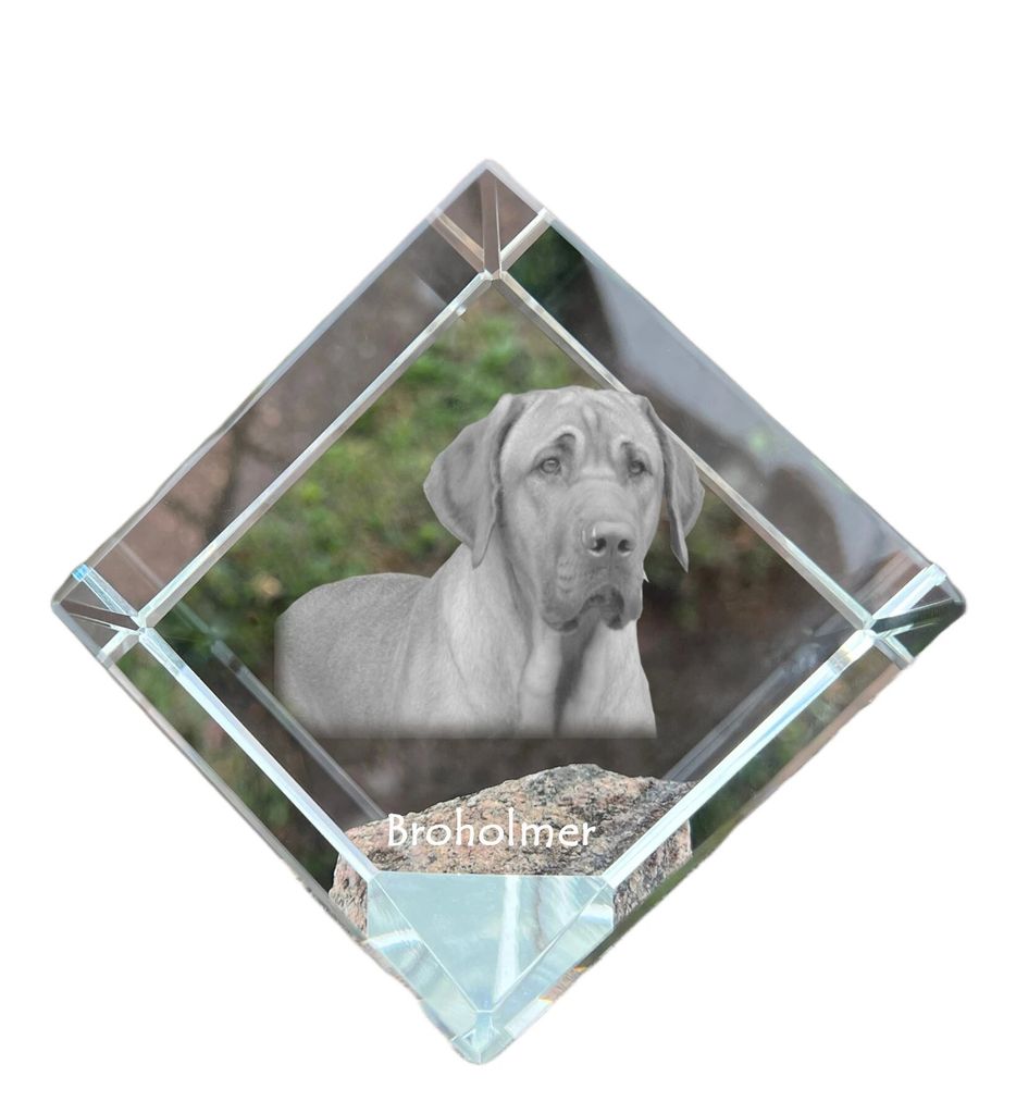 Schwarz-Lohfarbener Waschbärenhund, Black and Tan Coonhound - Kristallwürfel mit Bild, Pferdebild im Kristall, sechseckiger Papierclip der Marke ...