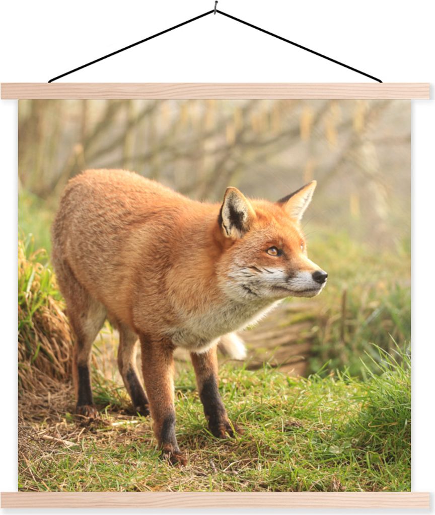 MuchoWow Textilposter Fuchs - Wald - Licht 60x60 cm mit holzfarbenen Rahmen - Wanddekoration