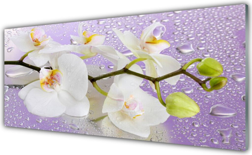 Küchenrückwand aus Glas 125x50cm Spritzschutz Blumen Pflanzen