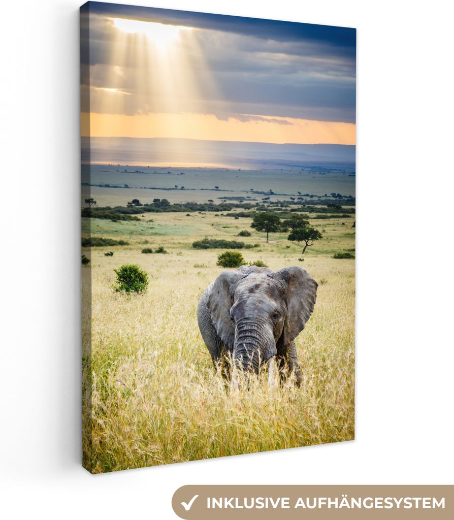 OneMillionCanvasses - Leinwandbilder - 90x140 cm, Elefant - Tiere - Landschaft - Sonne - Natur, Wandbilder Kunstdruck Wanddekoration - Wandschmuc...