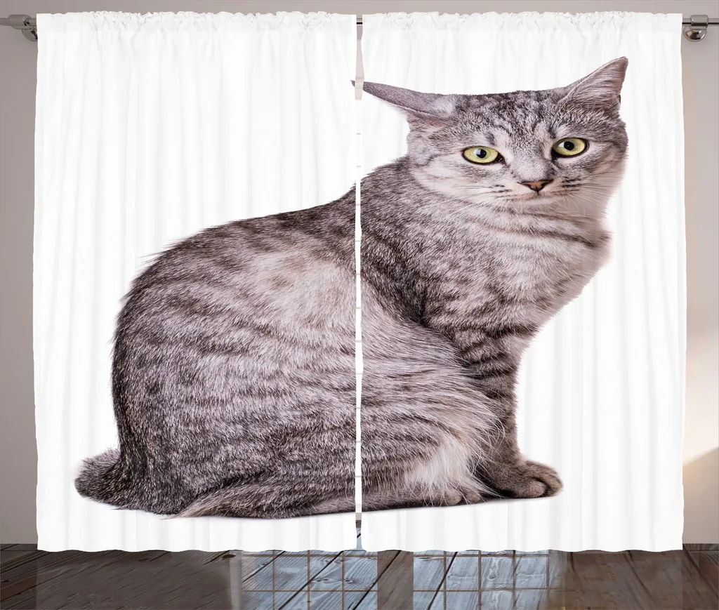 Rideau ABAKUHAUS Chat Gris Tabby 280x225cm avec Boucles et Crochets