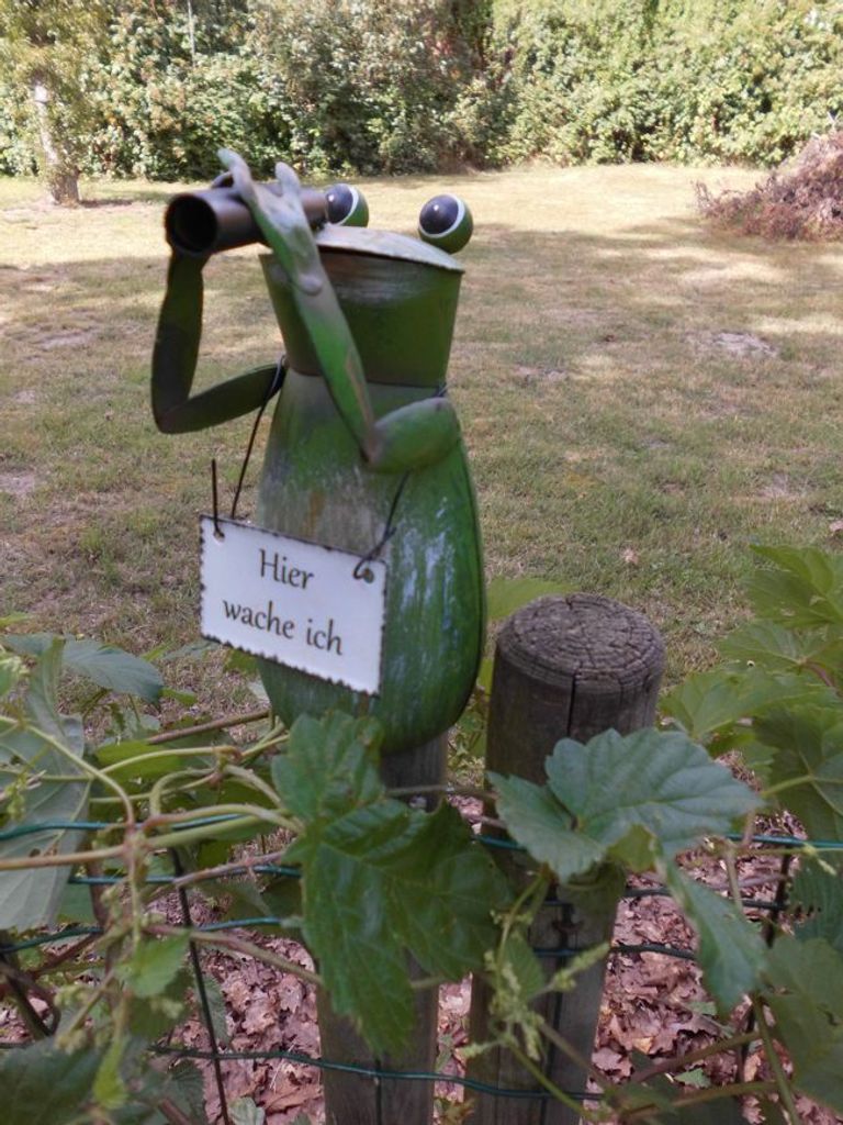 Zaunfigur Zaunhocker witziger Frosch m. Fernglas Hier wache ich