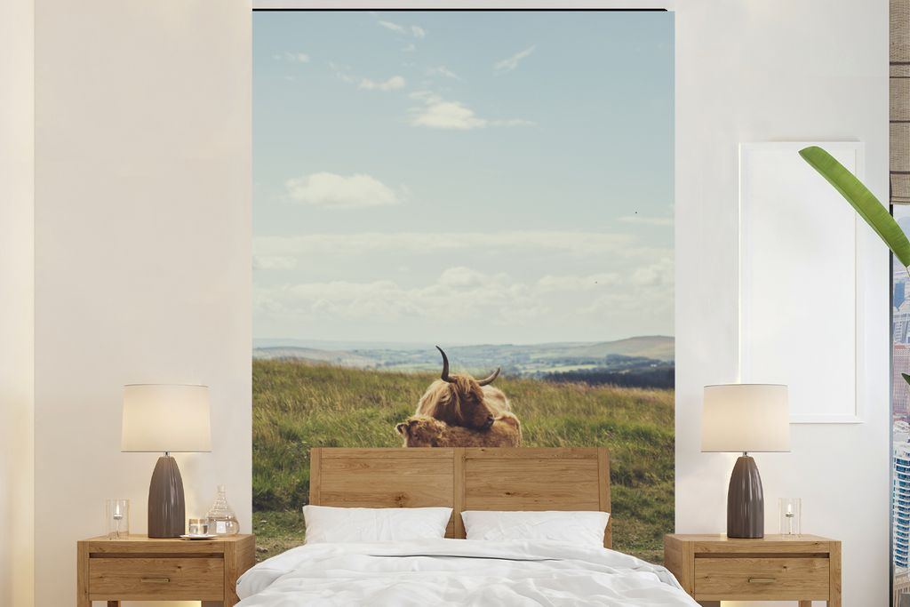 MuchoWow Fototapete für Wohnzimmer oder Schlafzimmer Wandtapete Vinyl Motivtapete Schottische Highlander - Gras - Wolken - Tiere - 170x260 cm - ...