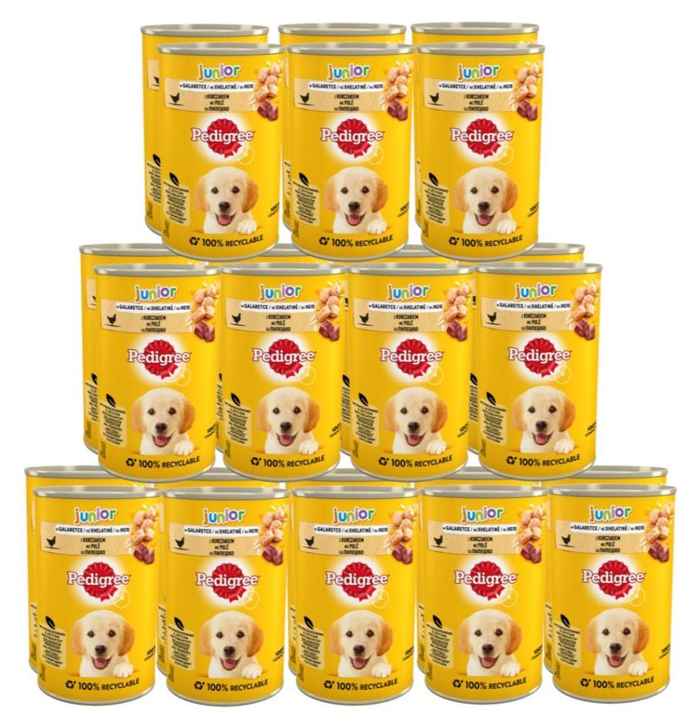 Pedigree Junior 24x400g Mit Huhn in Gelee Gesunder Start Produktbild 
