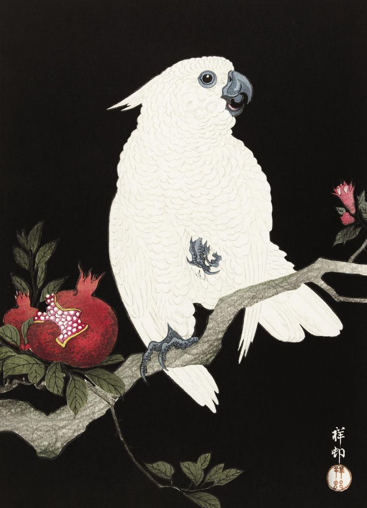 Plakat 13x18cm Kakadu und Granatapfel 2, Koson Vintage für das Wohnzimmer