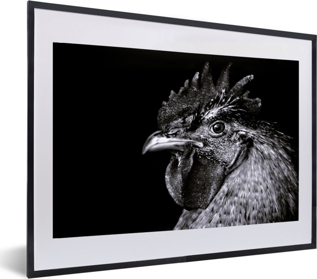 MuchoWow® MuchoWow® Gerahmtes Poster Hahn - Vogel - Schwarz Produktbild 