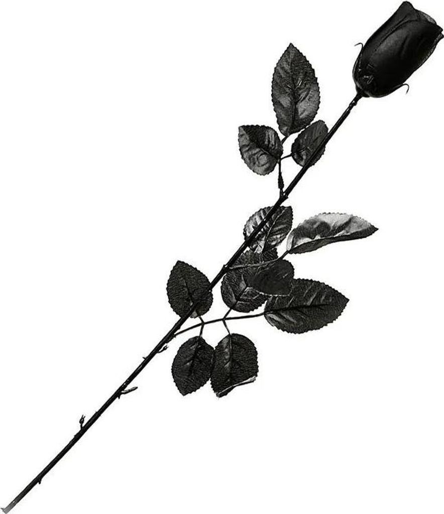 Atosa RosenNachbildungation 53 Cm Silber Silber One Size