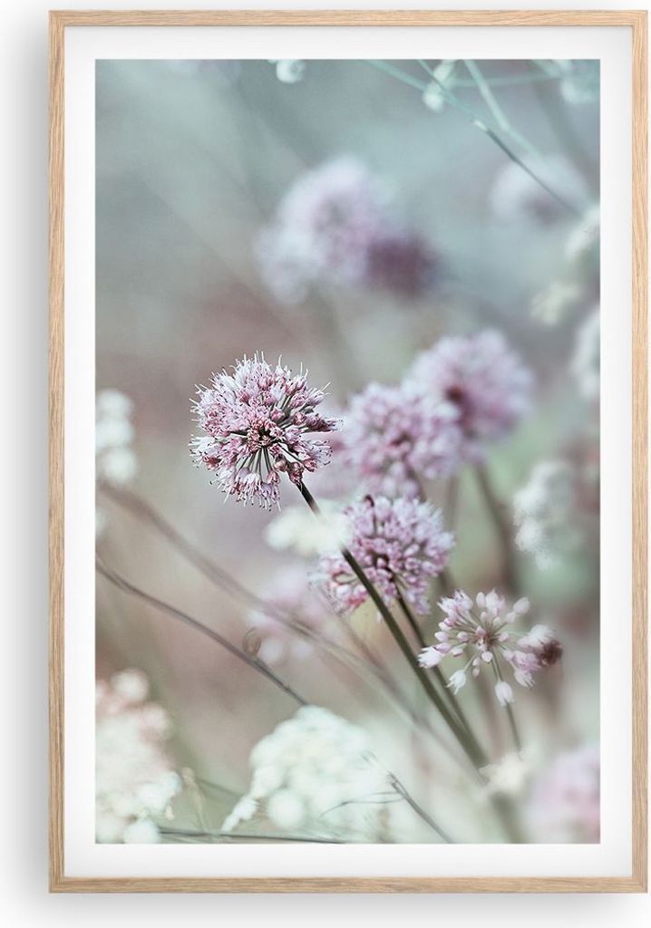 Gerahmtes Poster - Rahmen in heller Eiche - Wiese Knoblauch Blume - 61x91,5 cm - Wand Bild - Wanddeko - Wandbilder - Wandposter - Bilderrahmen - Bi...