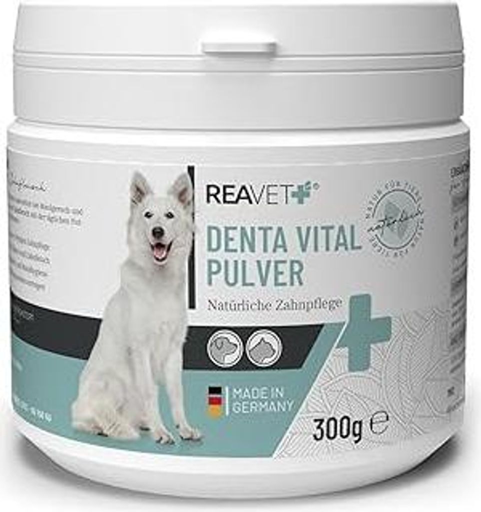 ReaVET Denta Vital Zahnpflege Pulver Hund & Katzen 300g - Zahnsteinentferner, Mittel gegen Zahnstein Hund Katze I Gegen Mundgeruch bei Hunden, Zahn...