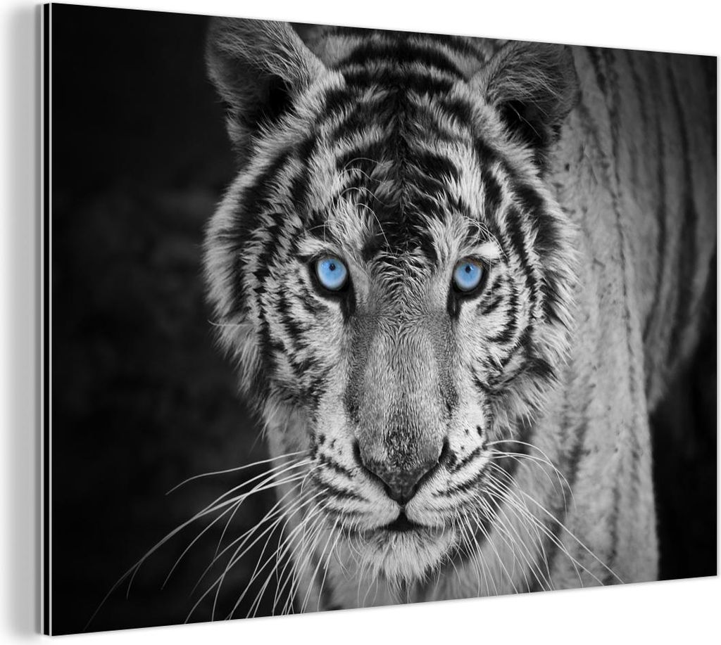 MuchoWow Wanddekoration Metall Metallbild Wandkunst 30x20 cm Tiger - Tier - Schwarz - Blau - Modern MuchoWow Aluminium Gemälde - Aluminiumgemälder