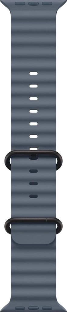 Apple Titanium Finish, Band, Smartwatch, Niebieski, Apple, Zdjęcie produktu 