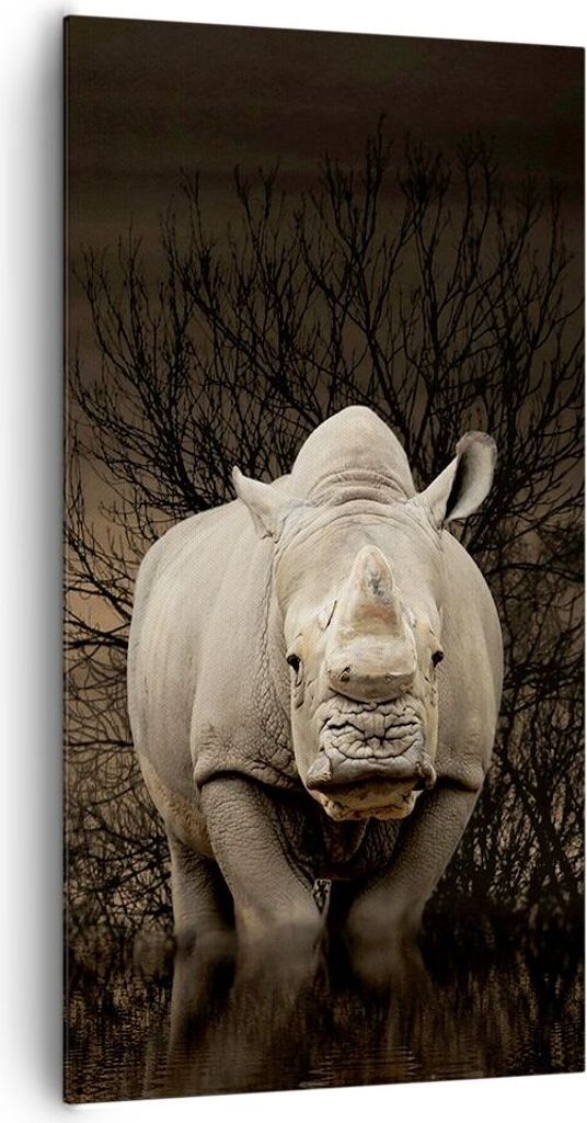 Bild auf Leinwand - Leinwandbild - Tier Nashörner Insekten - 65x120cm - Wand Bild - Wanddeko - Leinwanddruck - Bilder - Kunstdruck - Wanddekoratio...
