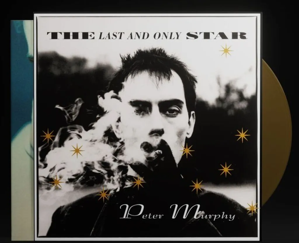 Disque Vinyle Forme Étoile Peter Murphy : Objet de Collection Unique