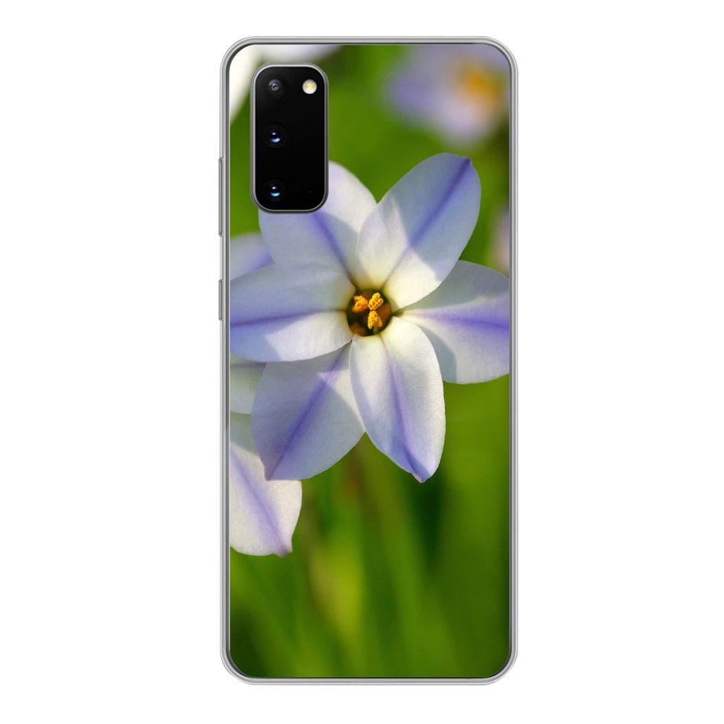 MuchoWow Handyhülle Schutzhülle Hülle für Samsung Galaxy S20 Blumen - Garten - Lila Silikon Softcase Handy Hülle - Bild