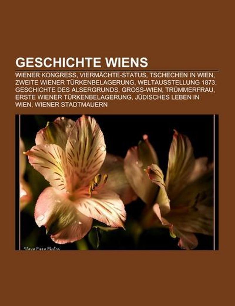Geschichte Wiens