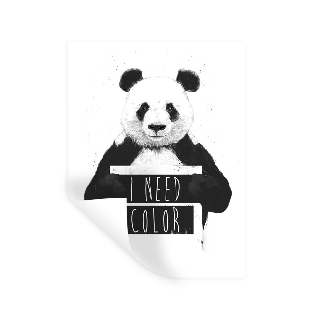 MuchoWow Wandtattoo Wandsticker Wandaufkleber Panda - Zitat - Farbe - Weiß 90x120 cm Selbstklebend und Repositionierbar - Faltenfrei