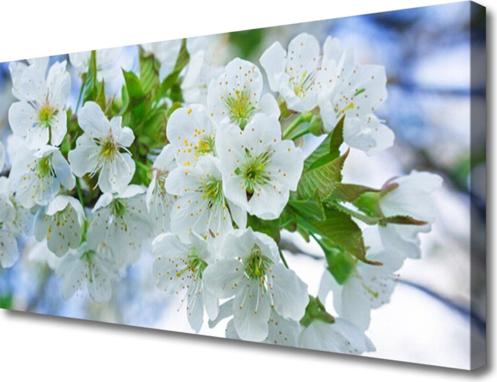 Tulup Leinwand-Bilder 100x50 Wandbild Canvas Kunstdruck Blumen Blätter Pflanzen
