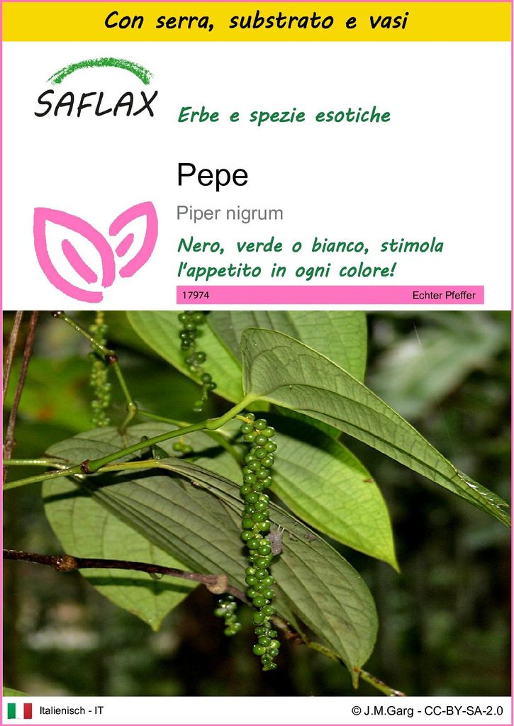 SAFLAX Insieme di coltivazione - Pepe  - 20 semi - Piper Immagine del prodotto 