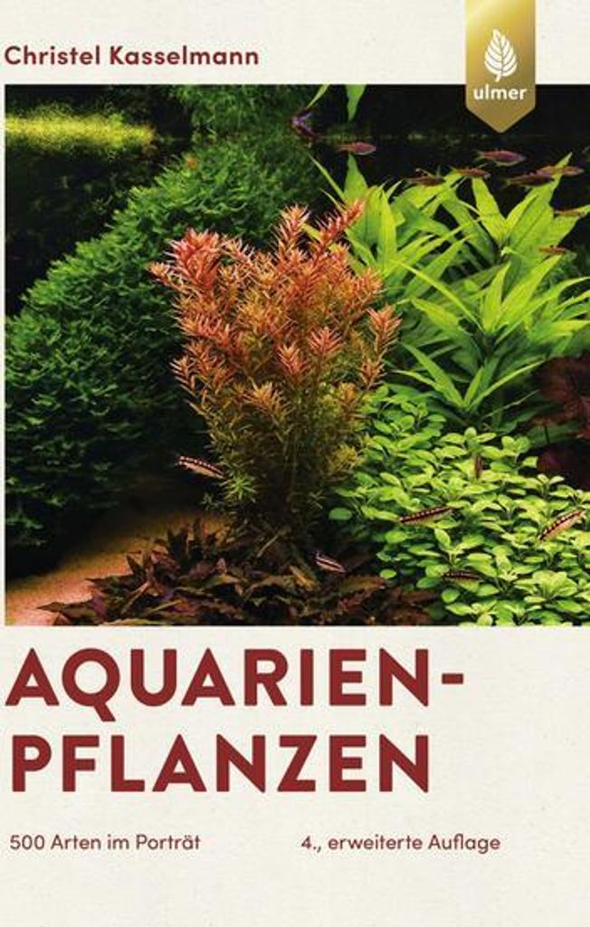 Aquarienpflanzen