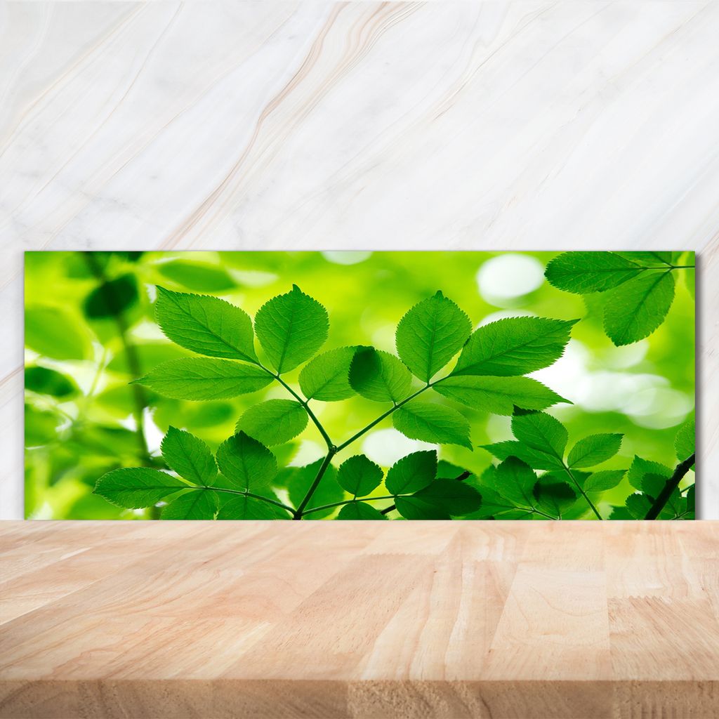 Tulup Küchenrückwand Spritzschutz aus Glas -125x50 -Spritzschutz auf gehärtetes Glas Deko Blumen & Pflanzen Grüne Blätter