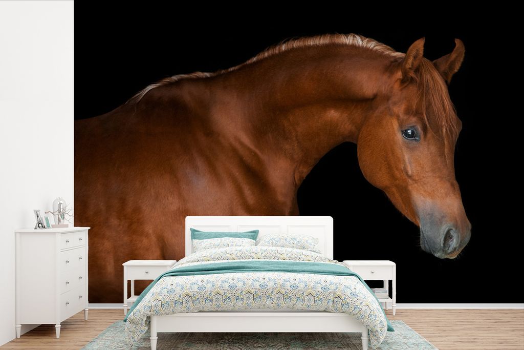 MuchoWow Fototapete für Wohnzimmer oder Schlafzimmer Wandtapete Vinyl Motivtapete Pferd - Schwarz - Braun - 420x280 cm - Zimmer für Kinder