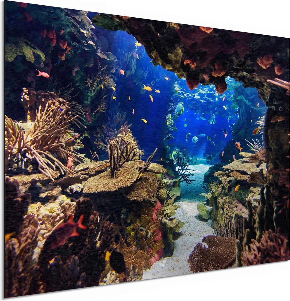 DEQORI Alu-Dibond Bild Silber 60x40 cm 'Exotisches Aquarium' Wandbild Metall dünn Design