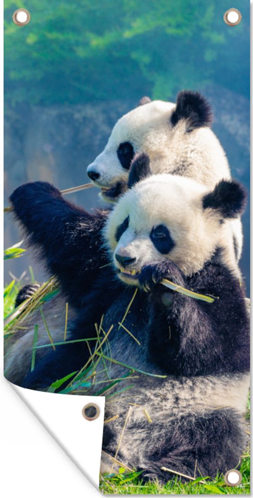 MuchoWow 40x80 cm Outdoor-Poster Gartendeko Sichtschutz Garten Poster für den Garten Panda - Bambus - Gras - Tiere