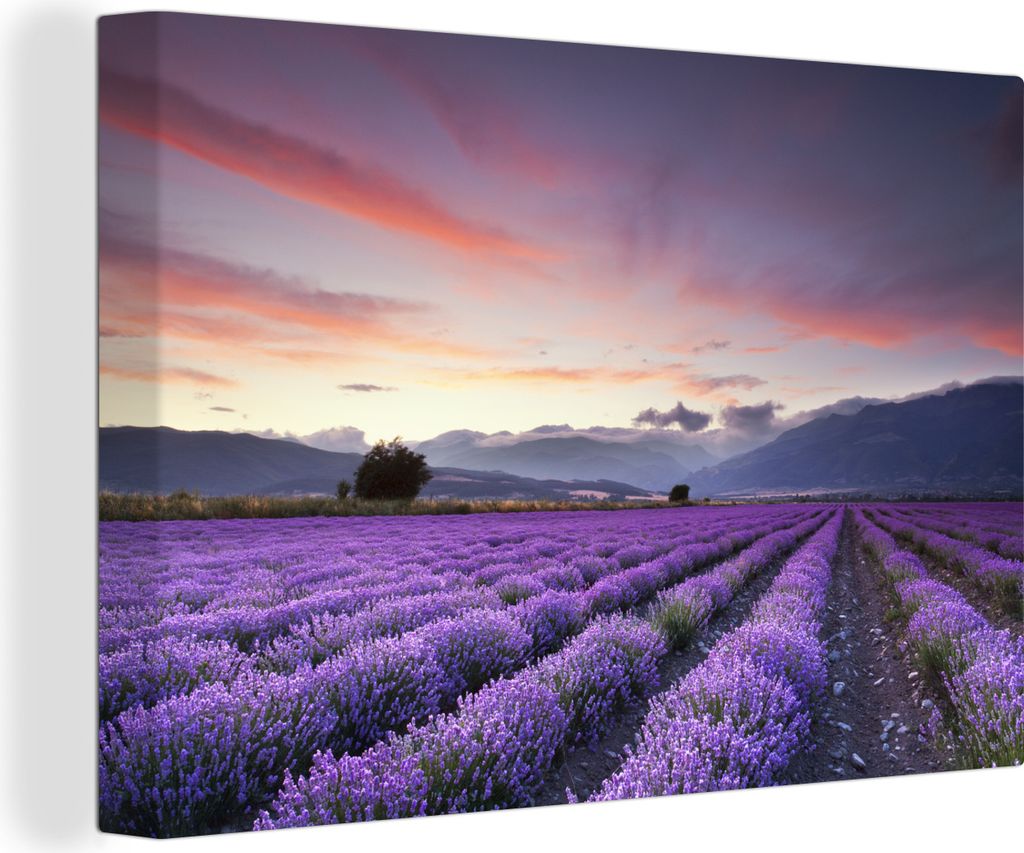 OneMillionCanvasses - Leinwandbilder - 140x90 cm, Sonnenuntergang über Lavendel, Wandbilder Kunstdruck Wanddekoration - Foto auf Leinwand - Gem...