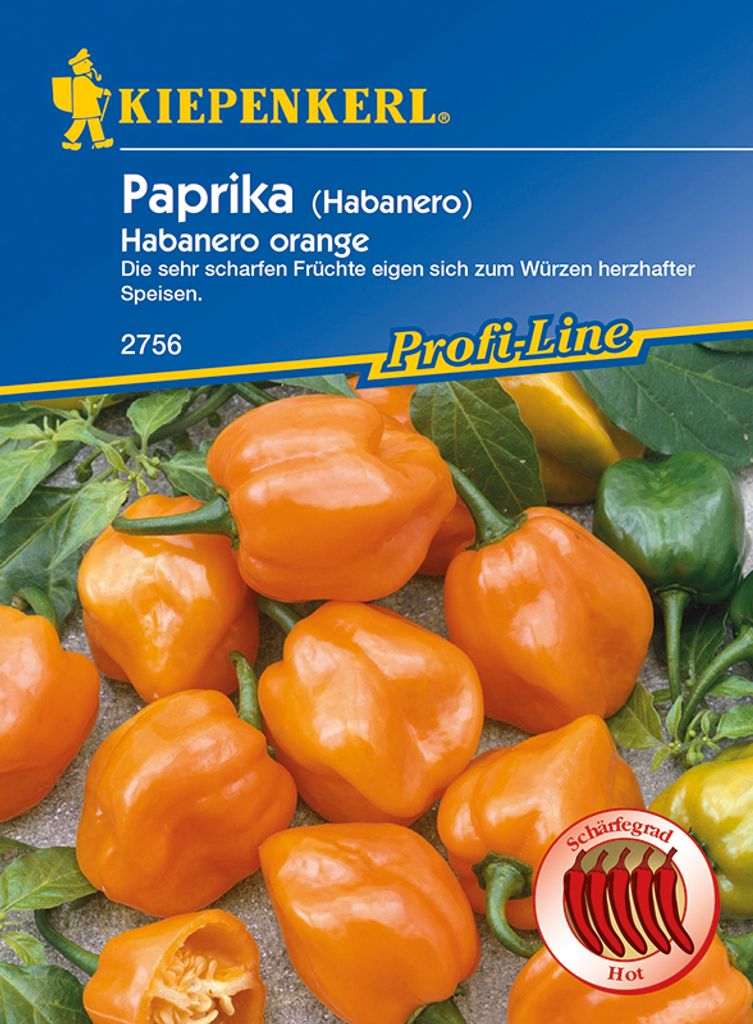 Paprika Habanero orange | Paprikasamen von Kiepenkerl