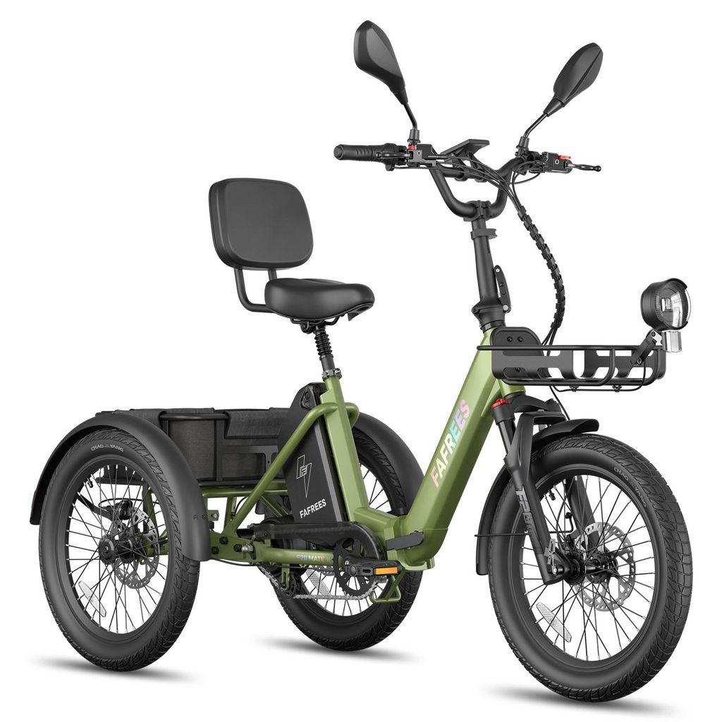Sicheres E Dreirad mit 180 kg Zuladung, 100 km Reichweite, Produktbild 